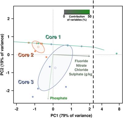 High Representation of Archaea Across All Depths in Oxic and Low-pH Sediment Layers Underlying an Acidic Stream